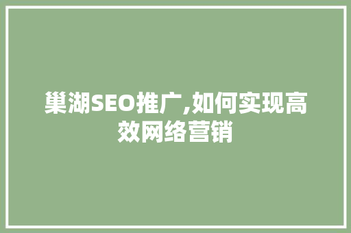巢湖SEO推广,如何实现高效网络营销
