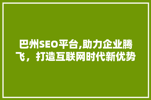巴州SEO平台,助力企业腾飞，打造互联网时代新优势