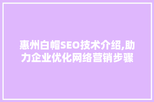 惠州白帽SEO技术介绍,助力企业优化网络营销步骤