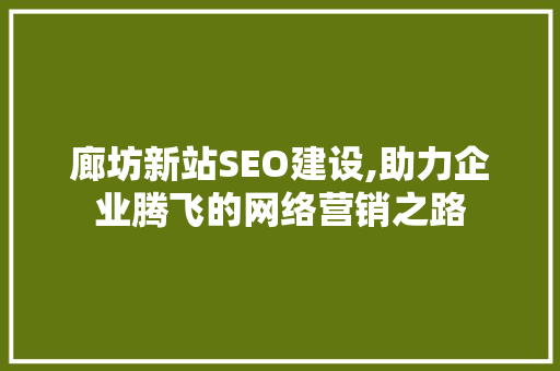 廊坊新站SEO建设,助力企业腾飞的网络营销之路