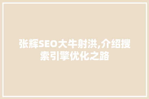 张辉SEO大牛射洪,介绍搜索引擎优化之路