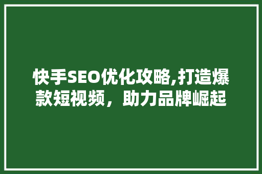 快手SEO优化攻略,打造爆款短视频，助力品牌崛起