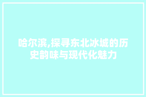 哈尔滨,探寻东北冰城的历史韵味与现代化魅力
