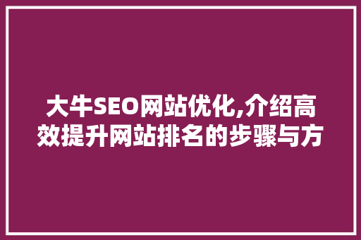 大牛SEO网站优化,介绍高效提升网站排名的步骤与方法