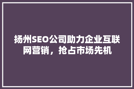 扬州SEO公司助力企业互联网营销，抢占市场先机