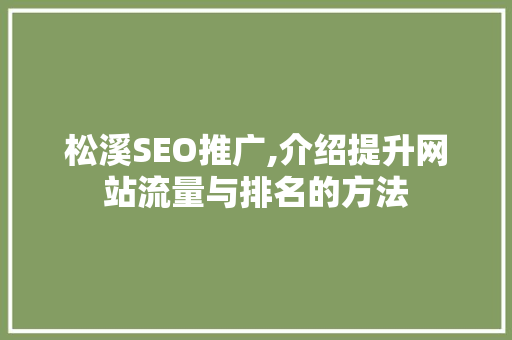 松溪SEO推广,介绍提升网站流量与排名的方法
