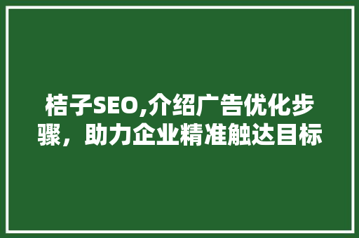 桔子SEO,介绍广告优化步骤，助力企业精准触达目标受众