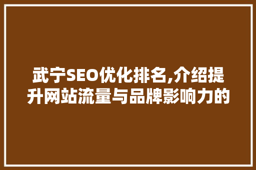 武宁SEO优化排名,介绍提升网站流量与品牌影响力的方法