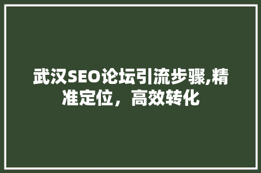 武汉SEO论坛引流步骤,精准定位，高效转化
