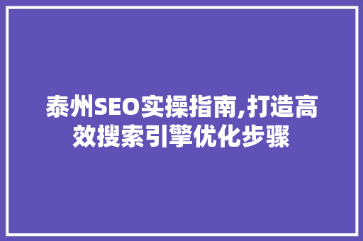 泰州SEO实操指南,打造高效搜索引擎优化步骤