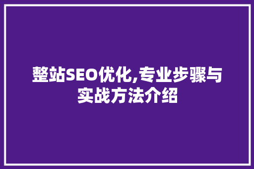 整站SEO优化,专业步骤与实战方法介绍