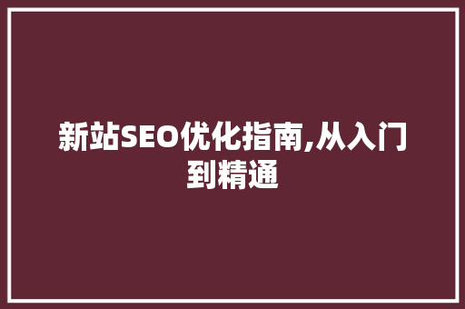 新站SEO优化指南,从入门到精通