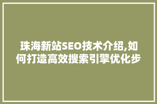 珠海新站SEO技术介绍,如何打造高效搜索引擎优化步骤