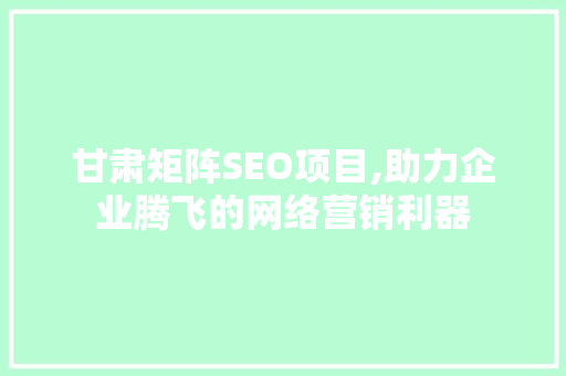甘肃矩阵SEO项目,助力企业腾飞的网络营销利器