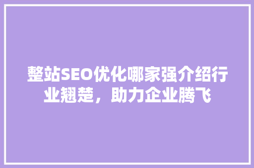 整站SEO优化哪家强介绍行业翘楚，助力企业腾飞