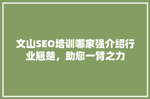 文山SEO培训哪家强介绍行业翘楚，助您一臂之力