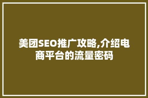 美团SEO推广攻略,介绍电商平台的流量密码