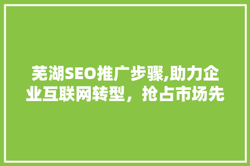 芜湖SEO推广步骤,助力企业互联网转型，抢占市场先机
