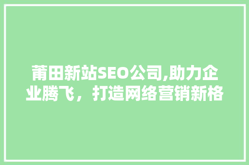 莆田新站SEO公司,助力企业腾飞，打造网络营销新格局