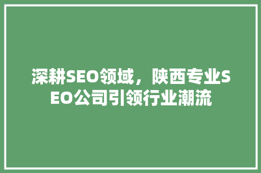 深耕SEO领域，陕西专业SEO公司引领行业潮流