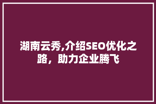 湖南云秀,介绍SEO优化之路，助力企业腾飞