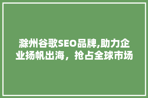 滁州谷歌SEO品牌,助力企业扬帆出海，抢占全球市场先机