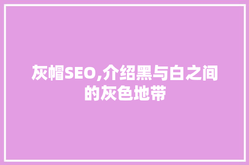 灰帽SEO,介绍黑与白之间的灰色地带