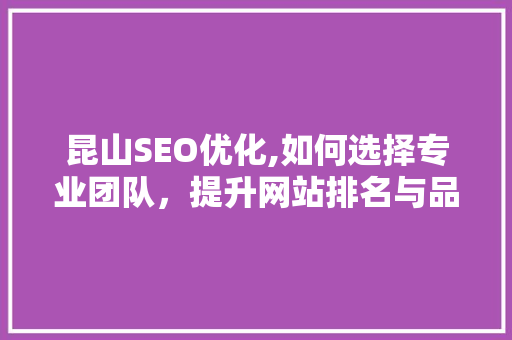 昆山SEO优化,如何选择专业团队，提升网站排名与品牌影响力  第1张