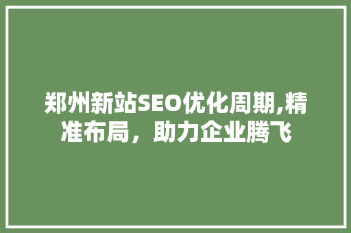 郑州新站SEO优化周期,精准布局，助力企业腾飞