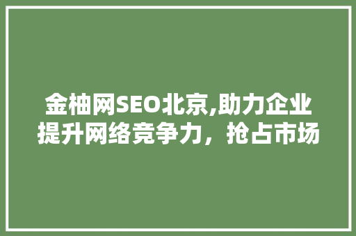 金柚网SEO北京,助力企业提升网络竞争力，抢占市场先机