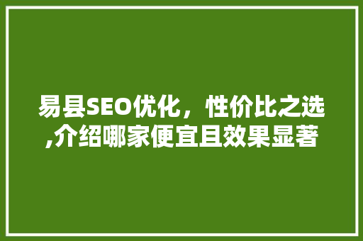 易县SEO优化，性价比之选,介绍哪家便宜且效果显著