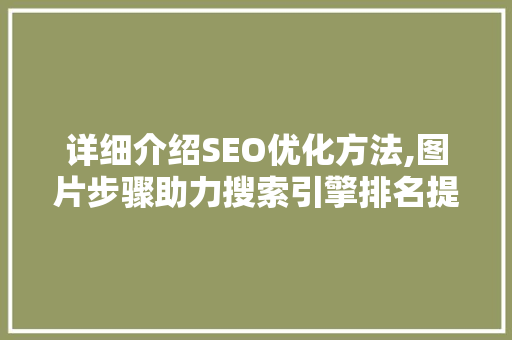 详细介绍SEO优化方法,图片步骤助力搜索引擎排名提升