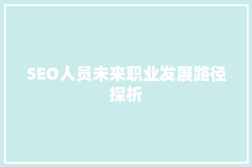 SEO人员未来职业发展路径探析