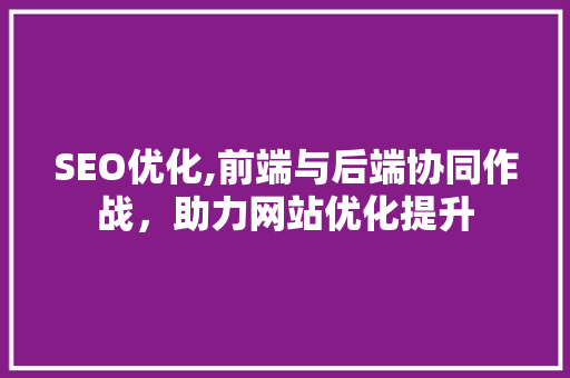 SEO优化,前端与后端协同作战，助力网站优化提升