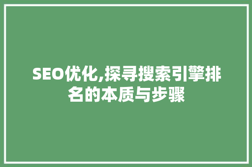 SEO优化,探寻搜索引擎排名的本质与步骤
