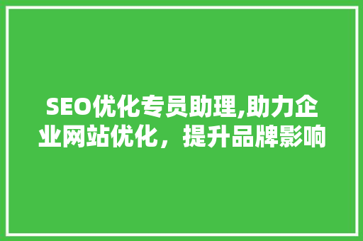 SEO优化专员助理,助力企业网站优化，提升品牌影响力  第1张