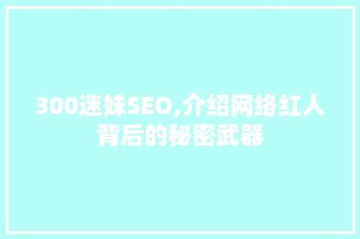 300迷妹SEO,介绍网络红人背后的秘密武器