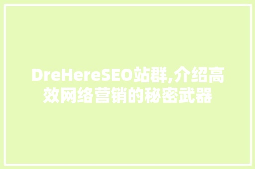 DreHereSEO站群,介绍高效网络营销的秘密武器