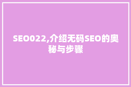 SEO022,介绍无码SEO的奥秘与步骤