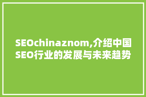 SEOchinaznom,介绍中国SEO行业的发展与未来趋势