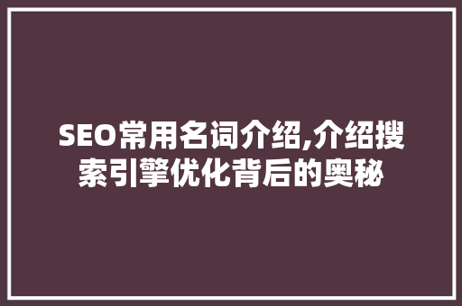 SEO常用名词介绍,介绍搜索引擎优化背后的奥秘