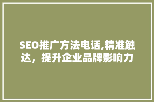 SEO推广方法电话,精准触达，提升企业品牌影响力