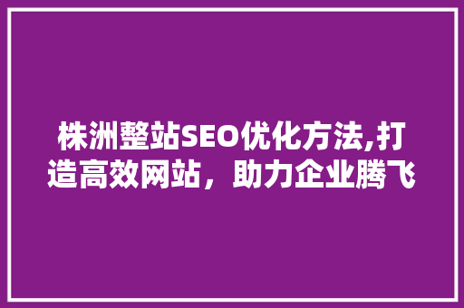 株洲整站SEO优化方法,打造高效网站，助力企业腾飞