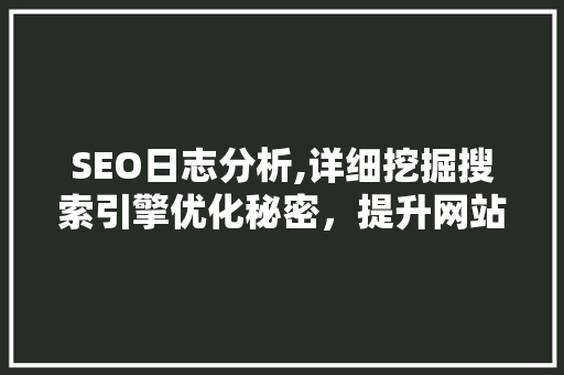 SEO日志分析,详细挖掘搜索引擎优化秘密，提升网站排名之路