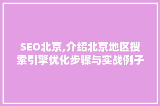 SEO北京,介绍北京地区搜索引擎优化步骤与实战例子