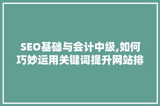 SEO基础与会计中级,如何巧妙运用关键词提升网站排名