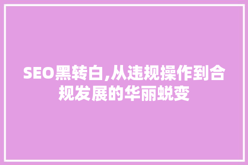 SEO黑转白,从违规操作到合规发展的华丽蜕变