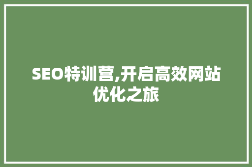 SEO特训营,开启高效网站优化之旅