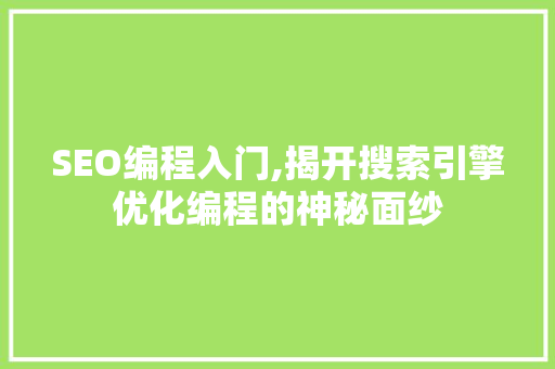 SEO编程入门,揭开搜索引擎优化编程的神秘面纱