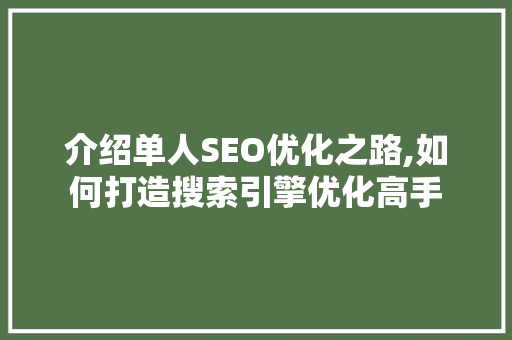 介绍单人SEO优化之路,如何打造搜索引擎优化高手